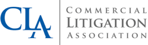 Go-Legal-Commercial-Litigation-Association-300x93